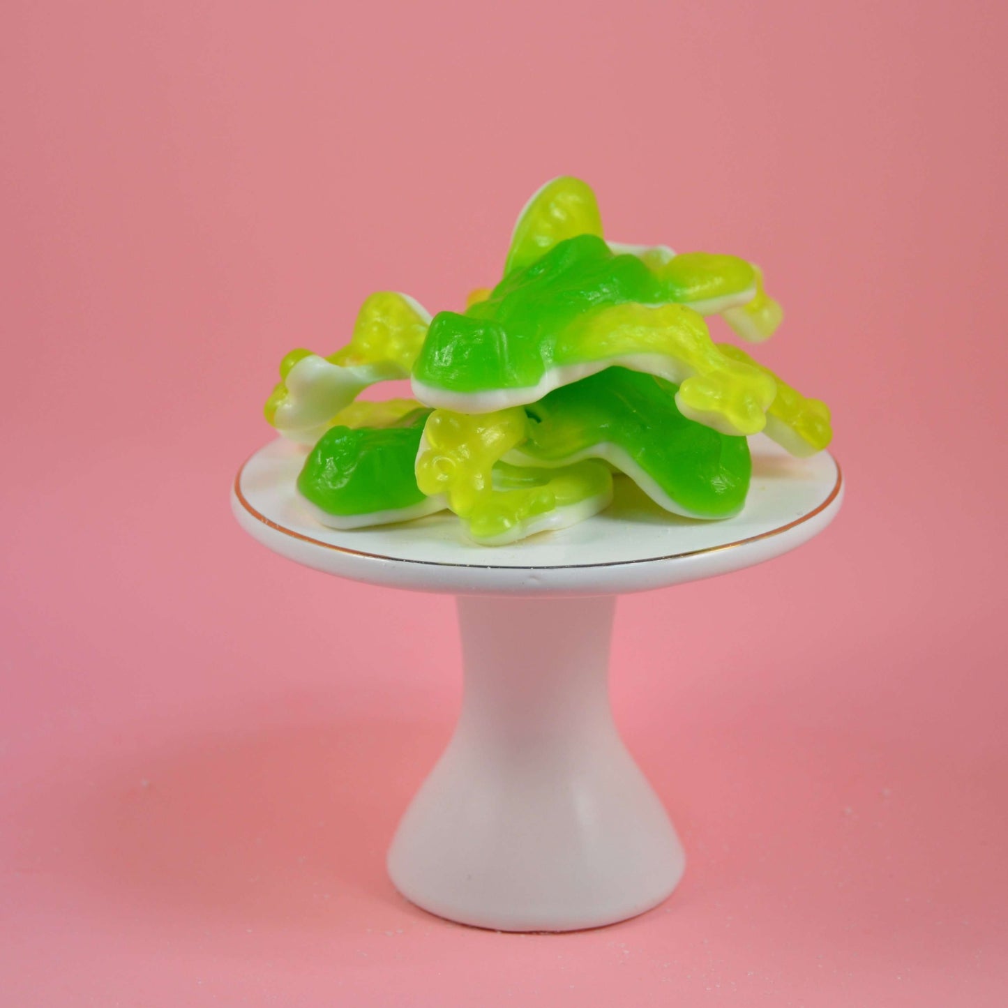 Giant Gummy Bull Frogs - Life is Sweet Candy Store