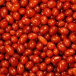 Boston Baked Beans