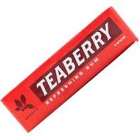 Teaberry Chewing Gum - Life is Sweet Candy Store